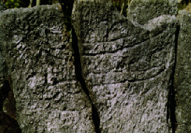 Canoe Petroglyph, Huahine, Tahiti